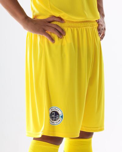 100053.900 ШОРТЫ NOBEL ЖЕЛТОГО ЦВЕТА